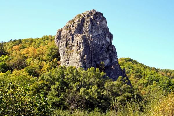 High rock among wood — Stock Photo, Image