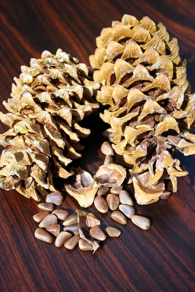 Pine nut grain — Stock Photo, Image