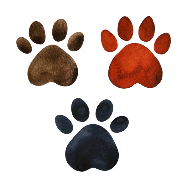 Dier Poot Hond Kat Huisdier Set Bruin Zwart Kleur Logo — Stockfoto