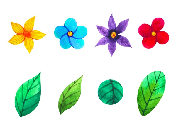 Σετ Χρώμα Πολύχρωμο Λουλούδι Φύλλο Floral Μοτίβο Ακουαρέλα Ζωγραφική Εικονογράφηση — Φωτογραφία Αρχείου
