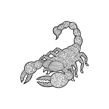 Akrep burcunun burç sembolü simge logo simgesi. Su elementi renk sanatı arka plan suluboya resim çizimi. Çizim çizimi karikatürü serveti.