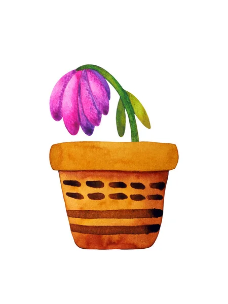 Dead Plant Pink Flower Pottery Pot Art Watercolor Painting Illustration — Stockfoto