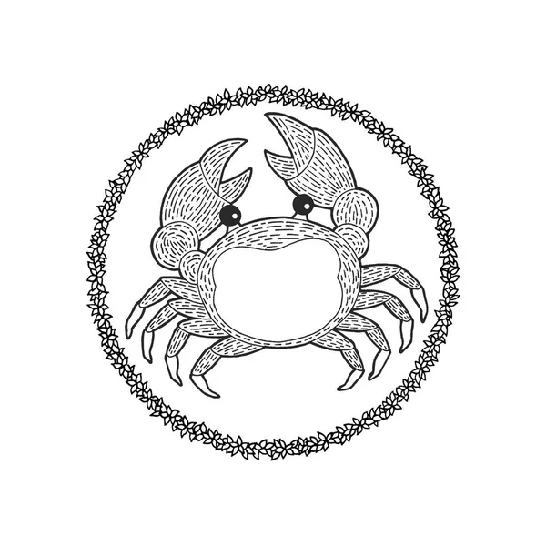 Krab Rak Zodiaku Astrologia Horoskop Symbol Znak Logo Ikona Projekt — Zdjęcie stockowe