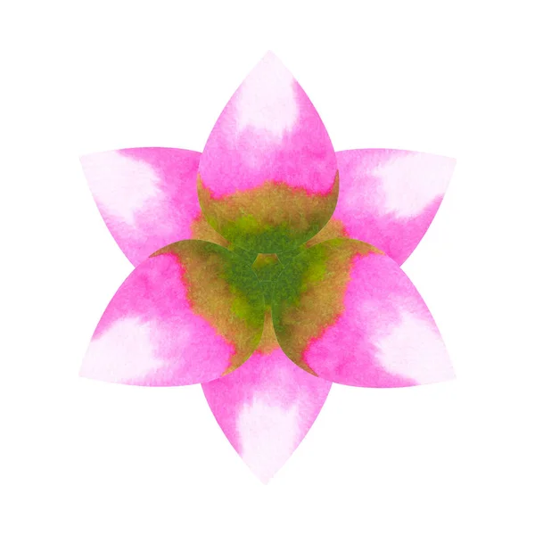 Loto Chakra Mandala Logo Simbolo Concetto Rosa Verde Fiore Floreale — Foto Stock