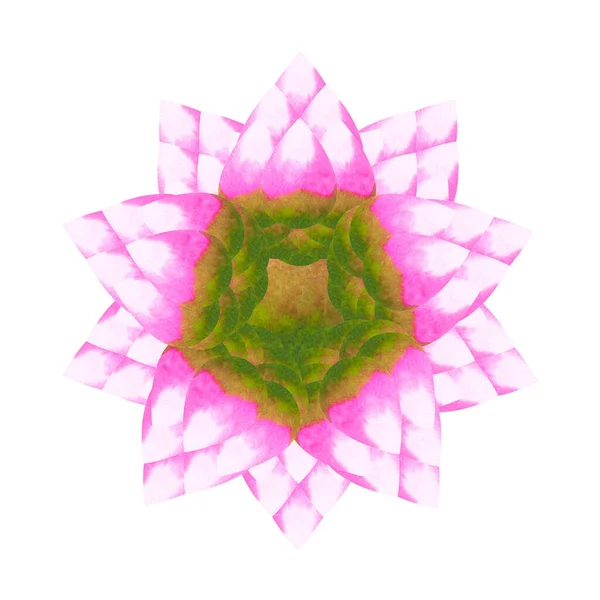 Lótus Chakra Mandala Logotipo Símbolo Conceito Rosa Verde Flor Floral — Fotografia de Stock