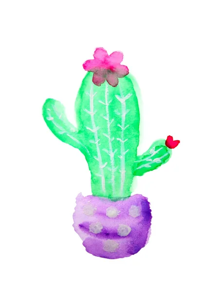 Schattig Cactus Cartoon Kunst Aquarel Schilderen Illustratie Ontwerp Hand Tekening — Stockfoto