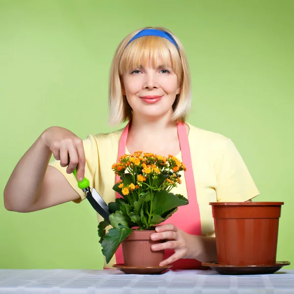 Reife Hausfrau kümmert sich um die Blumen — Stockfoto