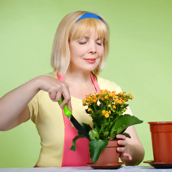 Reife Hausfrau kümmert sich um die Blumen — Stockfoto