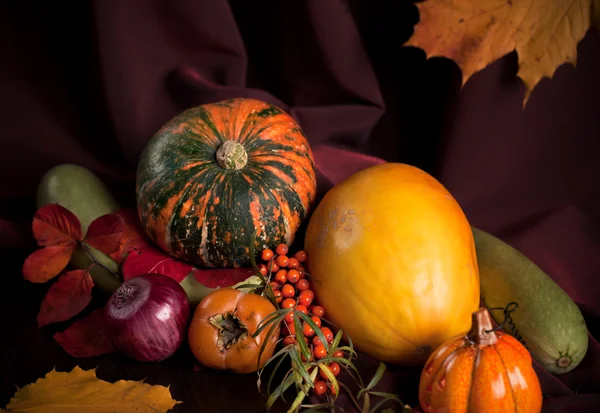Autumn still life with pumpkin — Stock Photo, Image