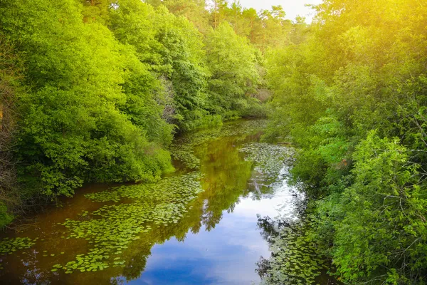 Landschap met riviertje — Stockfoto