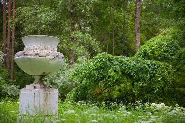 Park view with old stone vase — Stock Photo, Image