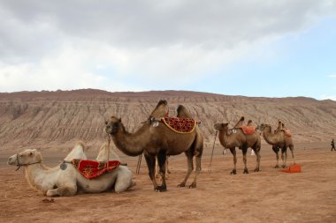 Çin Doğu Türkistan huoyanshan manzara