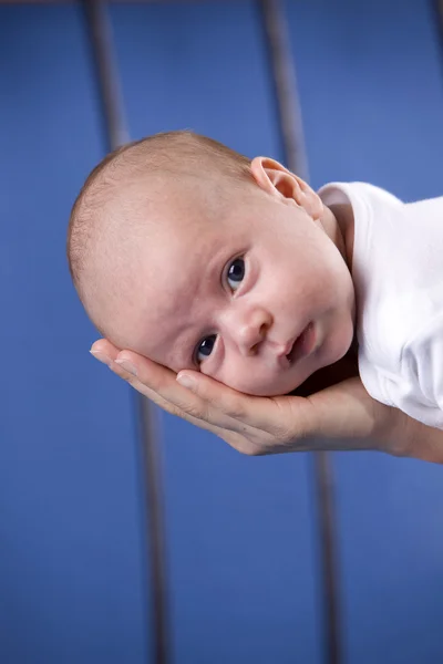 Baby three months — Stock Photo, Image