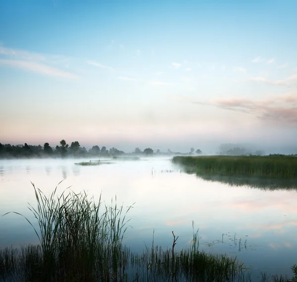 Krajobraz z jeziorem i porannej mgle — Zdjęcie stockowe