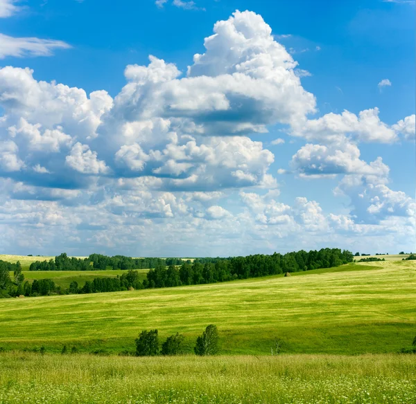 Прекрасный весенний пейзаж и облачное небо — стоковое фото