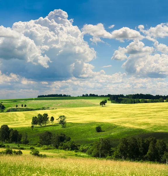 Prachtig zomers landschap — Stockfoto