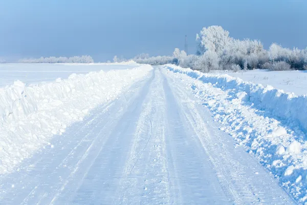 paisaje invernal con la carretera