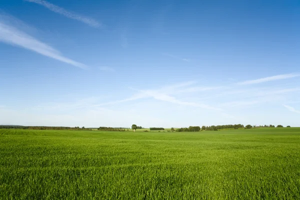 Vackra landskap och mulen himmel — Stockfoto