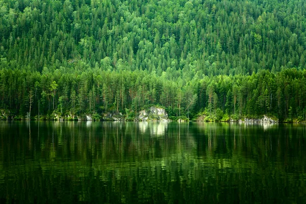 Göllü güzel yaz manzarası