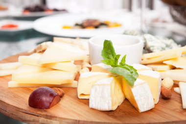 çeşitli peynir türleri