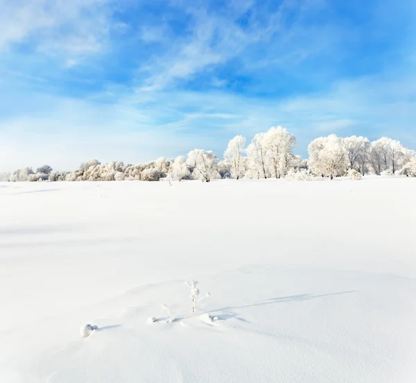 Paesaggio invernale. — Foto Stock