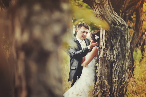 Małżeństwo w lesie — Zdjęcie stockowe