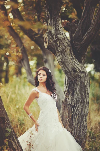 Hermosa novia en el bosque — Foto de Stock