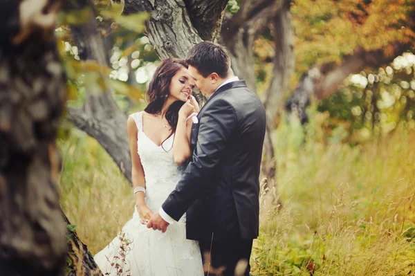 Casal sensual na floresta Imagem De Stock