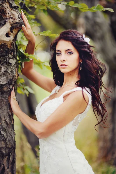 Beautiful bride in forest — Stock Photo, Image