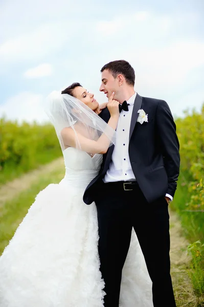 Happy couple on wedding day — Stock Photo, Image