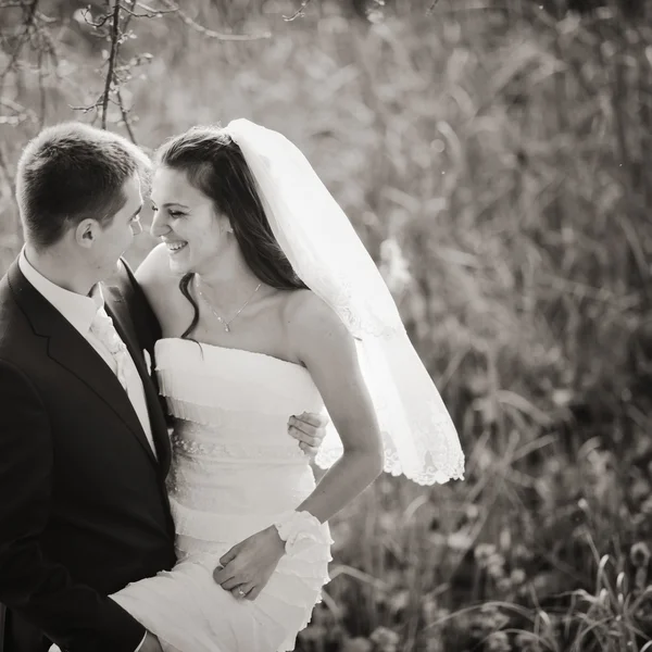 Loving newlywed couple outdoor.