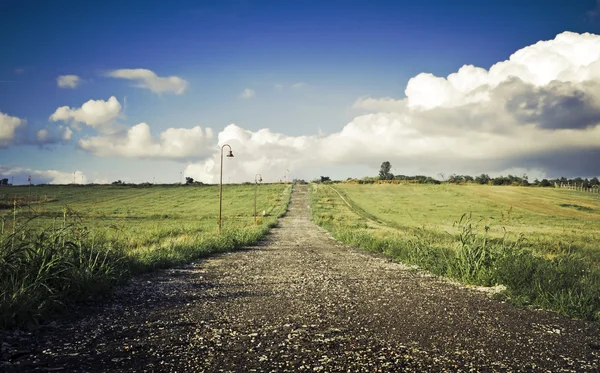 Green field Landscape — Stock Photo, Image