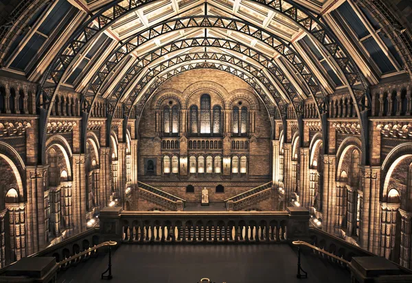 Interior of Natural History Museum, London. — Stock Photo, Image