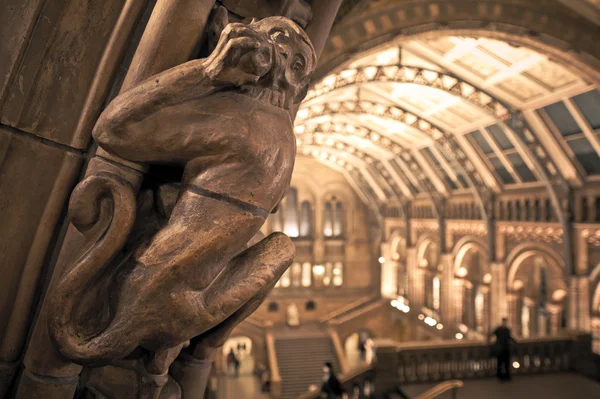 Intérieur du Musée d'Histoire Naturelle, Londres . — Photo