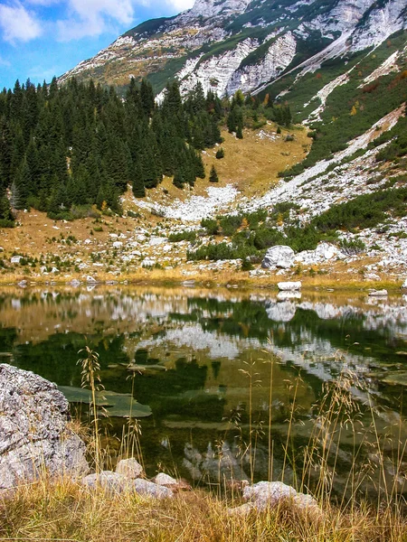 Emerald water. Firs reflected in mountain lake. — Stock Photo, Image