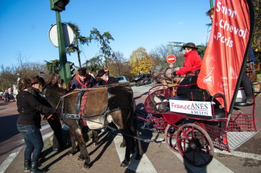 paris at geçit kazası