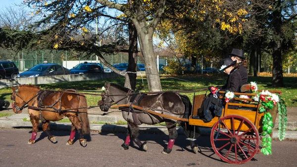 Pony's op Parijs Bouwer paard parade — Stockfoto