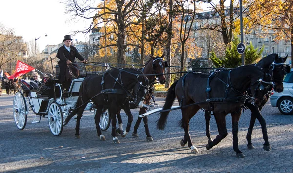 Desfile de cavalos de Paris — Fotografia de Stock