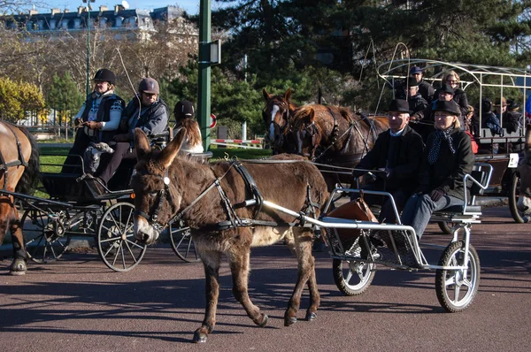 Desfile de caballos de París —  Fotos de Stock