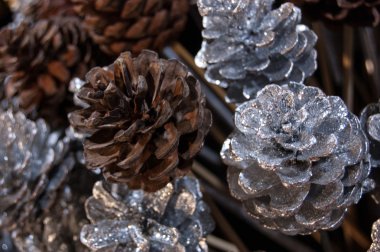 Stick gümüşlenmiş ve doğal çam kozalakları. Festival christmas dekorasyon arka plan.