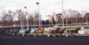 Paris - 16 Aralık: Dana etli Paris'te ırk olarak 16 Aralık 2012'de paris, Fransa görülen vincennes Hipodrom. 1863 Vincennes yarış pisti açıldı.