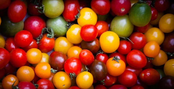 Diferentes tomates cereja coloridos — Fotografia de Stock