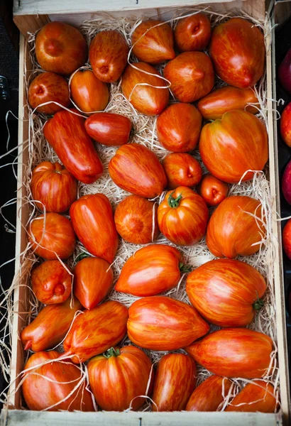 Tigrella gestreifte Tomaten — Stockfoto