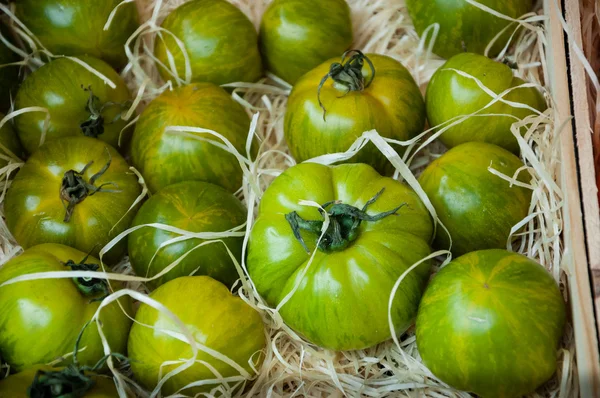 Tomates listrados de tigrela verde — Fotografia de Stock