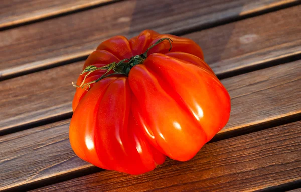 Tomate de bife maduro brilhante — Fotografia de Stock