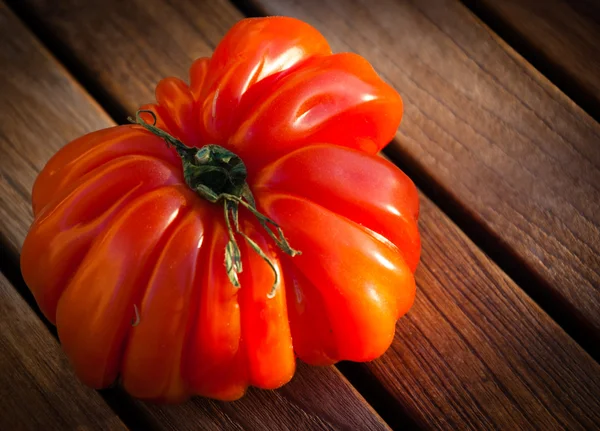 Glänzende reife Fleischtomate — Stockfoto