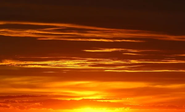 すばらしい夕日 — ストック写真