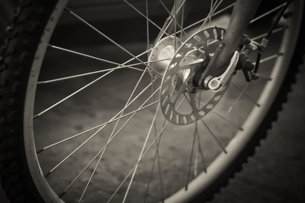自転車ホイール — ストック写真