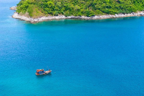 Palm trees on the island of Phuket — Stock Photo, Image