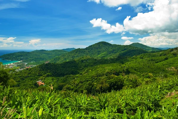 Verão em Green Mountain — Fotografia de Stock